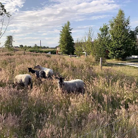 Xxvii Feriehus Rønne